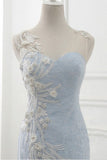 Baby Blue Sweep Train Lace Mermaid Evening Dresses, Formal Dress With Applique HZ0319