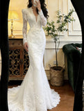 Elegant Wedding Dress V-neck Long Sleeves Mermaid Wedding Dress HZ0319