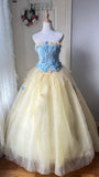 Charming Prom Dress Strapless Tulle Evening Dress Quinceanera Dress Ball Gown HZ0319