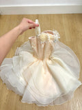 Chic Homecoming Dress Spaghetti Straps Tulle Short Prom Dress Back to School Outfits Birthday Party Dress HZ0319