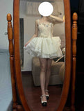 Chic Homecoming Dress Spaghetti Straps Tulle Short Prom Dress Back to School Outfits Birthday Party Dress HZ0319