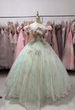 Beauty Ball Gown Off Shoulder Pleated Tulle Evening Dress Gala Prom Gown Quinceanera Dress HZ0319