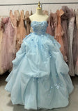 90s Ball Gown Light Blue Sweetheart Pleated Floral Quinceanera Dress Evening Dress Gala Prom Gown HZ0319