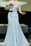 Elegant Prom Dress V-neck Pleated Tulle Mermaid Formal Gown Evening Dress Birthday Party Outfits HZ0319