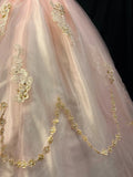 Elegant Ball Gown Crew Neck Tulle Applique Quinceanera Dress Evening Dress 18th Birthday Prom Gown HZ0319