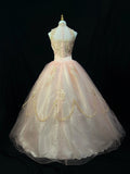 Elegant Ball Gown Crew Neck Tulle Applique Quinceanera Dress Evening Dress 18th Birthday Prom Gown HZ0319