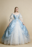 Gorgeous Ball Gown Light Blue Crew Neck Tulle Pleated Quinceanera Dress Evening Dress 18th Birthday Prom Gown HZ0319