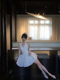 Popular A Line Halter Pleated Short Prom Dress Homecoming Dress Birthday Party Dress HZ0319
