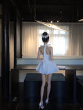 Popular A Line Halter Pleated Short Prom Dress Homecoming Dress Birthday Party Dress HZ0319