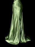 Gorgeous Prom Dress Green Spaghetti Straps Backless Pleated Evening Dress Gala Dress Party Dress HZ0319