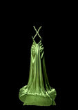 Gorgeous Prom Dress Green Spaghetti Straps Backless Pleated Evening Dress Gala Dress Party Dress HZ0319