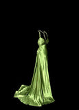Gorgeous Prom Dress Green Spaghetti Straps Backless Pleated Evening Dress Gala Dress Party Dress HZ0319