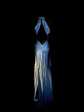 Elegant Prom Dress Gradient V-neck Pleated Gala Dress Evening Dress Party Dress HZ0319