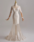 Elegant Long Sleeve Lace Mermaid Wedding Dress HZ0319