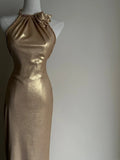 Beauty Prom Dress Halter Mermaid Evening Dress Gala Dress HZ0319