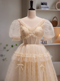 Sweet Prom Dress V-neck Tulle Pleated Quinceanera Dress Evening Dress HZ0319