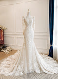 New Arrival Wedding Dress Long Sleeves Mermaid Wedding Dress HZ0319