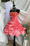 Sweet Homecoming Dress Strapless Pleated Short Prom Dress Birthday Party Dress Cocktail Dress HZ0319