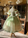 Pretty Homecoming Dress Off Shouder Tulle Plleated Prom Dress Birthday Party Outfits HZ0319