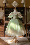 Pretty Homecoming Dress Off Shouder Tulle Plleated Prom Dress Birthday Party Outfits HZ0319